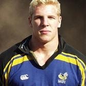 James Haskell profile